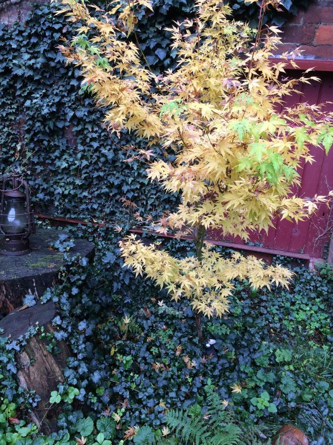 Minshuku Chambres D'Hotes Japonaises Thiers Eksteriør bilde